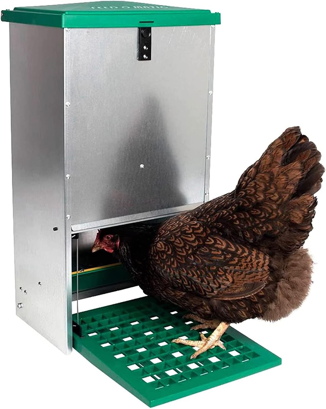 FINCA CASAREJO Comedero automático para gallinas - Comedero gallinas