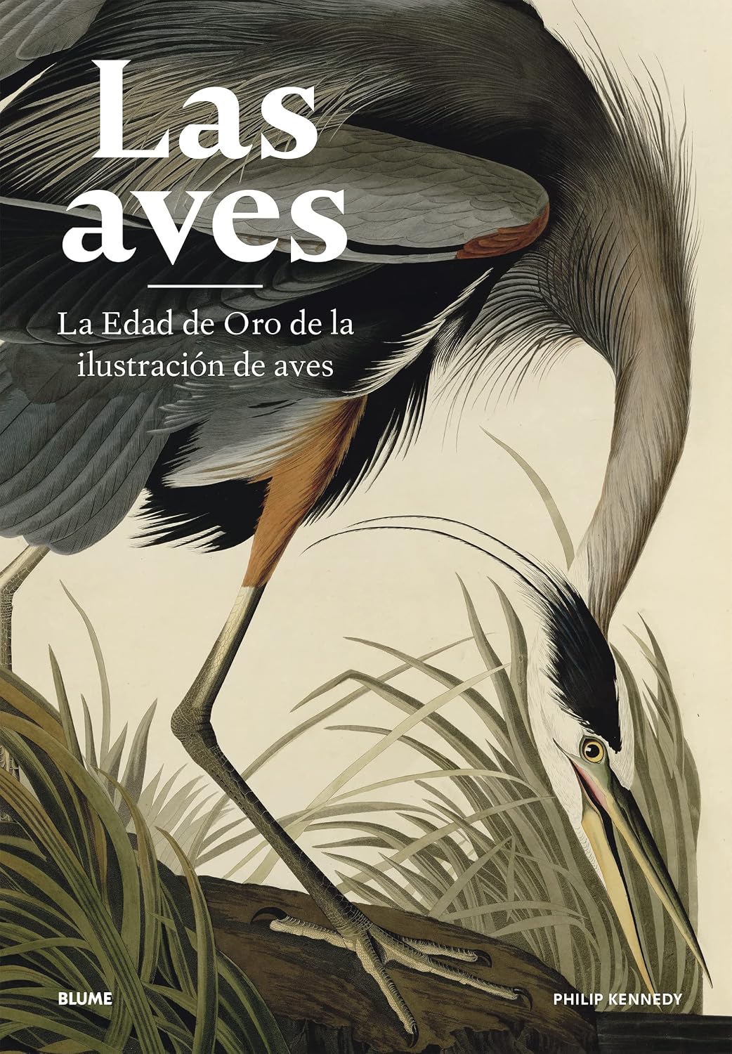 Las aves: La Edad de Oro de la ilustración de aves