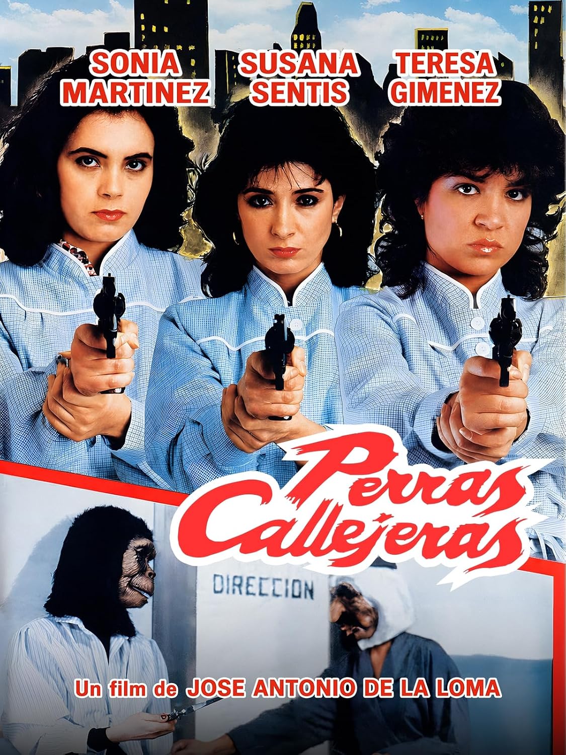 Perras callejeras