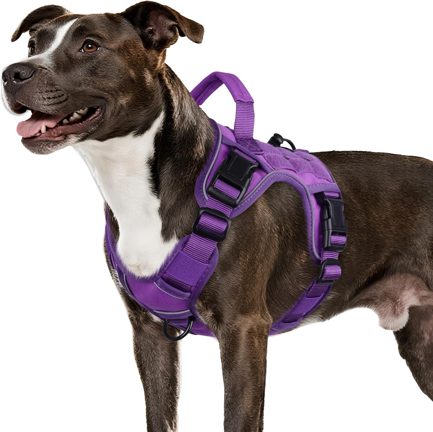 WINGOIN Arnés táctico para perros pequeños, sin tirones, ajustable