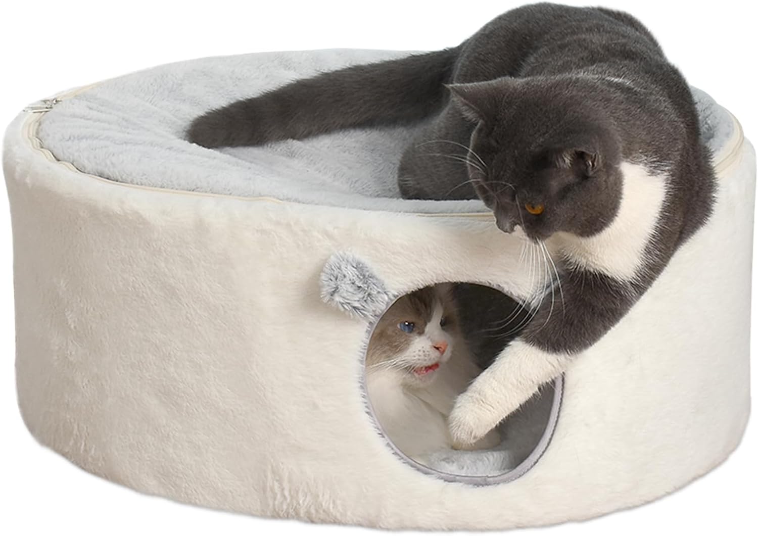 GUUSII HOME Elevado Cama para Gato Grande Gatos Cueva Gatito Casa Interior