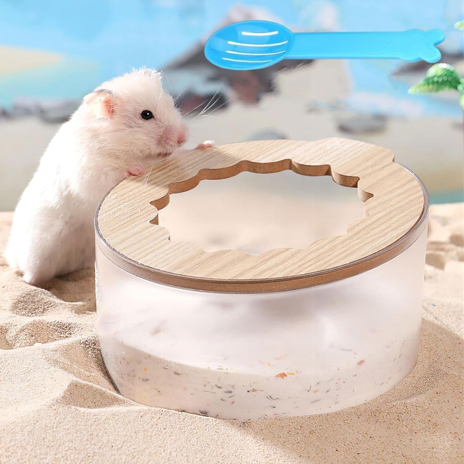 Arena Hamster Baño de Arena para Hámster, Arenero Hamsters Arenas Transparente